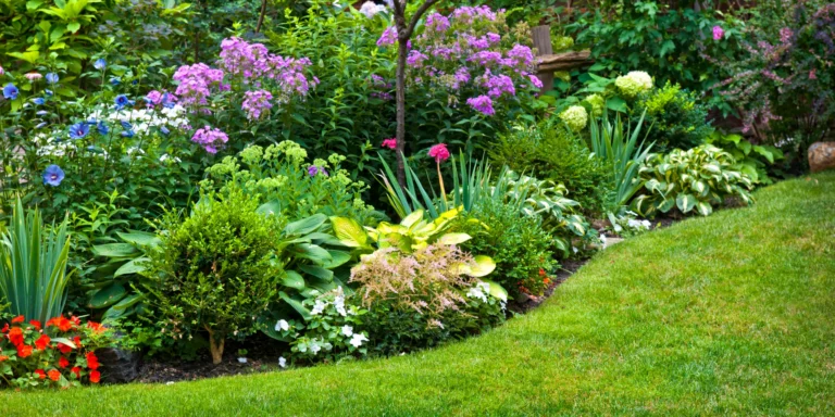 Rain Garden Design: A Simple Guide to a Beautiful, Water-Smart Yard Rain Garden Design: A Simple Guide to a Beautiful, Water-Smart Yard