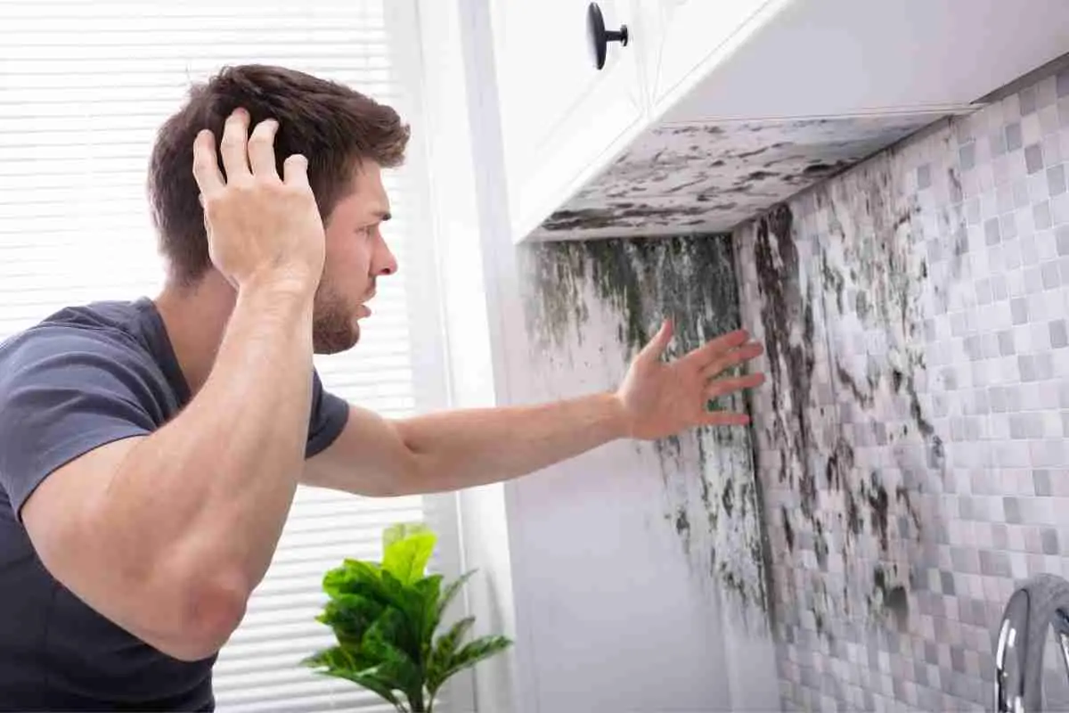 What Happens to a Home When It Isn’t Deep Cleaned for Six Months?